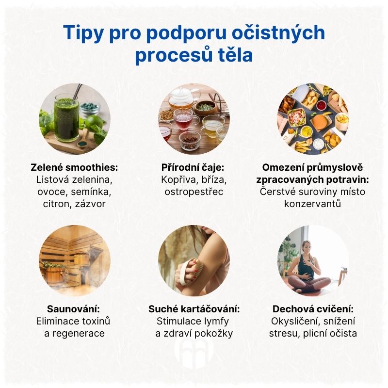 Tipy pro podporu očistných procesu  těla